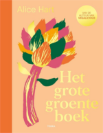 Het grote groente boek